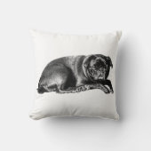 Plush Pause, Cozy Texture クッション (正面)