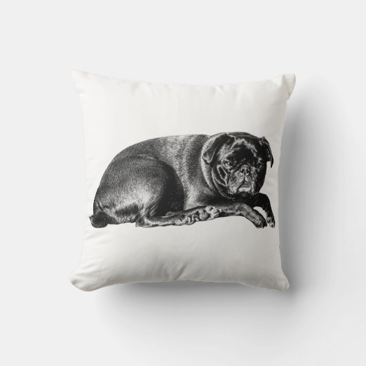 Plush Pause, Cozy Texture クッション (正面)