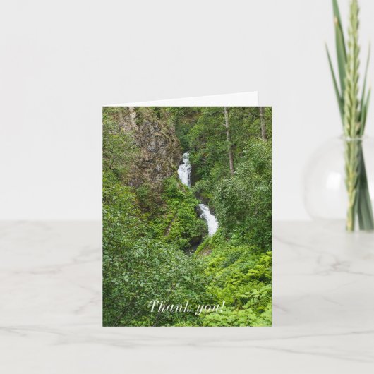 Plush Thunderbird Painterlyありがとう カード (正面)