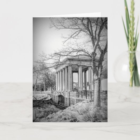 Plymouth Rockキャノピー白黒 カード (正面)