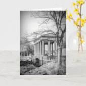 Plymouth Rockキャノピー白黒 カード (黄色い花)