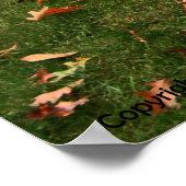 Plymouth Sport Fury ポスター (角)