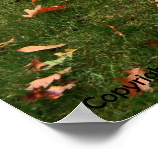 Plymouth Sport Fury ポスター (角)