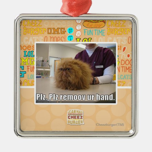 Plzのremoovのur手 メタルオーナメント (正面)