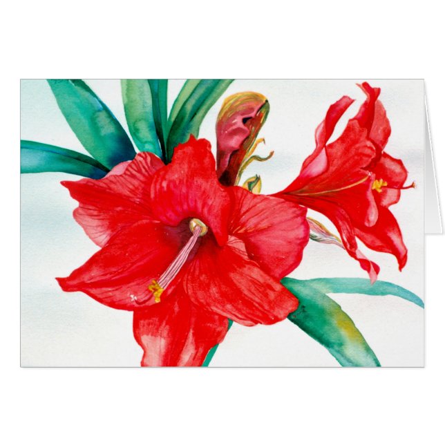 PMACarlson赤いAmarylisのカード (正面横)