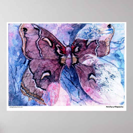 PMACarlson Cecropia Moth Collageポスター ポスター (正面)