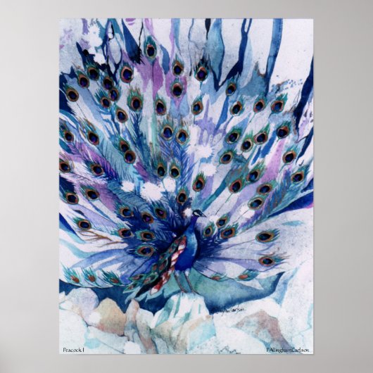 PMACarlson Peacock I Poster ポスター (正面)