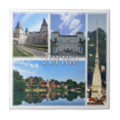 PMT004トリノ，モザイク，ピエモンテ，イタリア， タイル (正面)