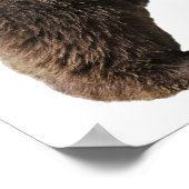 Png孤立した茶色のクマ ポスター (角)