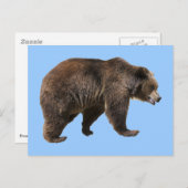 Png孤立した茶色のクマ ポストカード (正面/裏面)