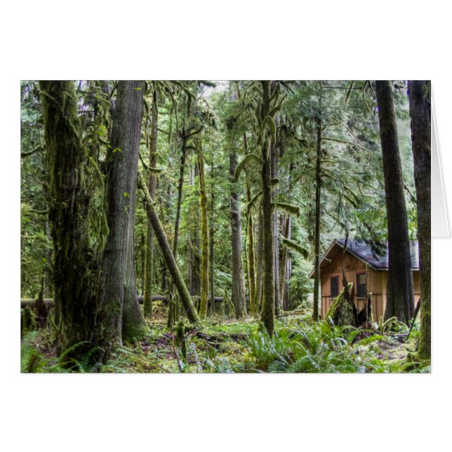 PNWの小屋 (正面横)