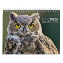 PNW BIRDS 2025 - パシフィック・ノースウェストの鳥たち  