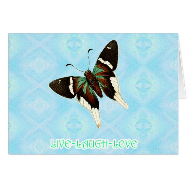 POCB02-182 (正面横)