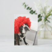 Pocky Postcards ポストカード (スタンド正面)