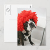 Pocky Postcards ポストカード (正面/裏面)