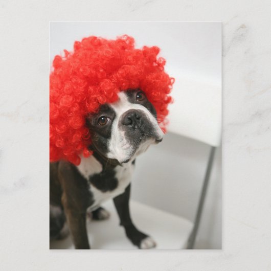 Pocky Postcards ポストカード (正面)