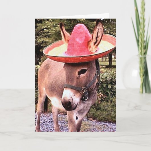 Poco カード (正面)