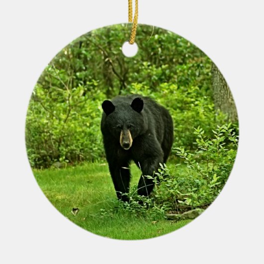 Poconosの裏庭のツキノワグマからの挨拶 セラミックオーナメント (正面)