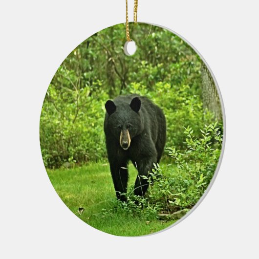 Poconosの裏庭のツキノワグマからの挨拶 セラミックオーナメント (左)