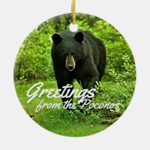 Poconosの裏庭のツキノワグマからの挨拶 セラミックオーナメント
