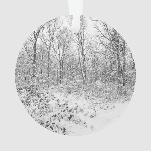 PoconosのSnowyの木 オーナメント (裏面)