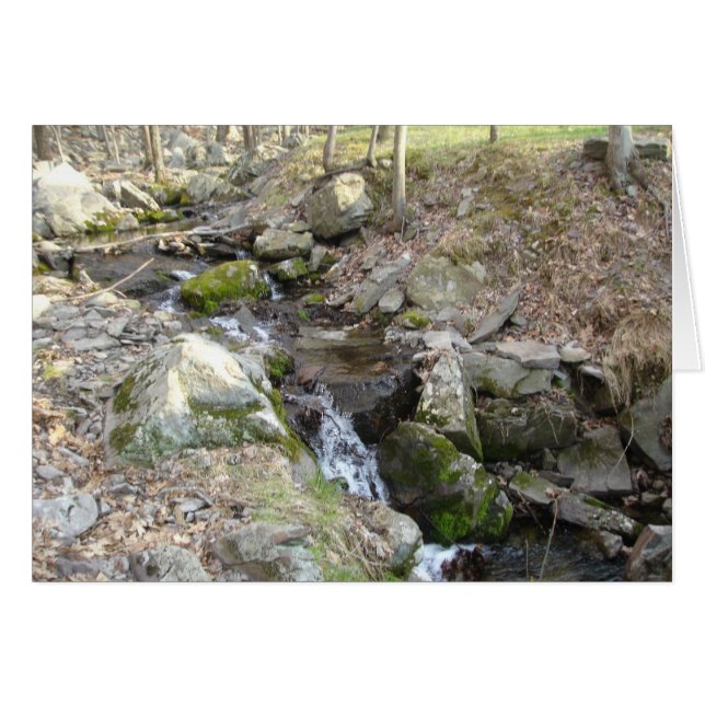 Poconosペンシルバニア (正面横)