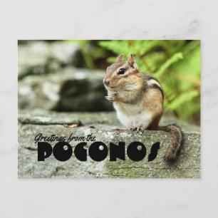 Poconos Mischieevous Chipmunkからの挨拶 ポストカード