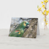 Poe カード (黄色い花)