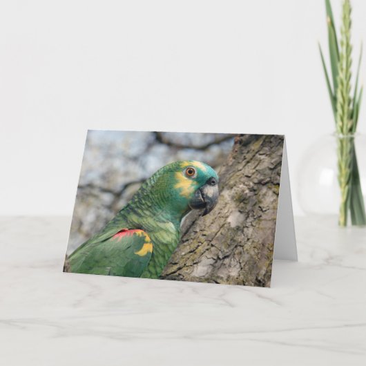 Poe カード (正面)