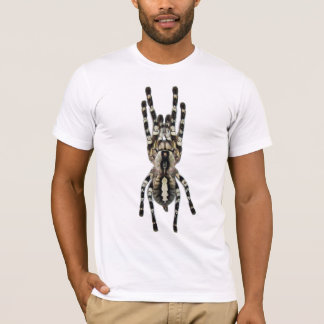 Poecilotheriaのregalis (インドのOrnamental) Tシャツ