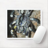 Poecilotheriaのregalis マウスパッド (マウス)