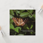 Poetic Butterfly Thank You for Friendship カード (正面/裏面インサイチュ)