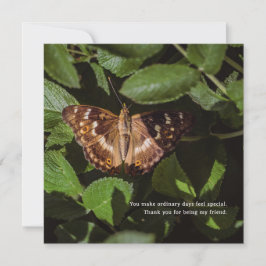 Poetic Butterfly Thank You for Friendship カード