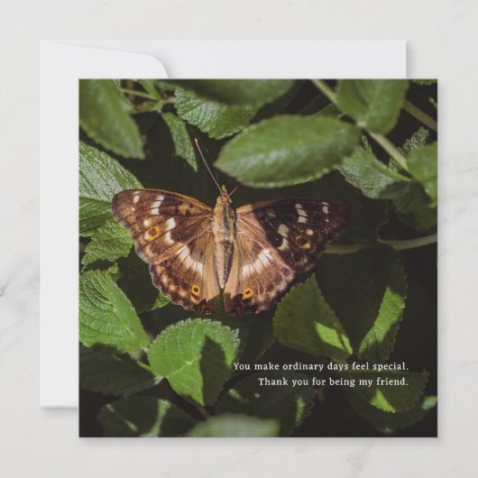 Poetic Butterfly Thank You for Friendship カード (正面)