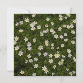 Poetic wood anemones Thank You for Friendship カード (正面)