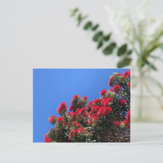Pohutukawa Postcard 1 ポストカード (スタンド正面)