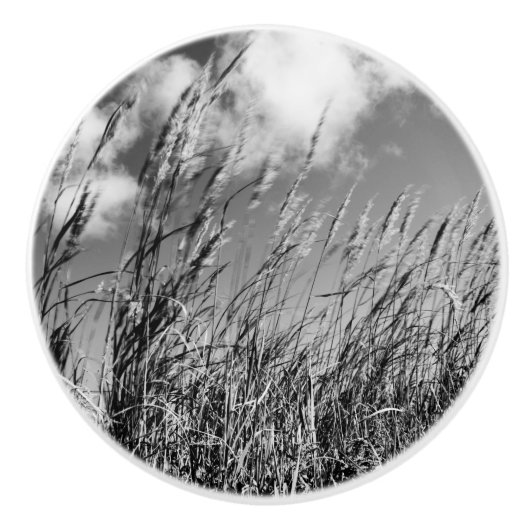 Poignée de porte, champs de blé セラミックノブ (正面)