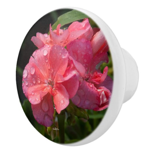 Poignée de porte, fleur rose セラミックノブ (右)