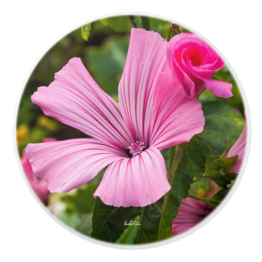 poignée de porte fleur rose セラミックノブ (正面)