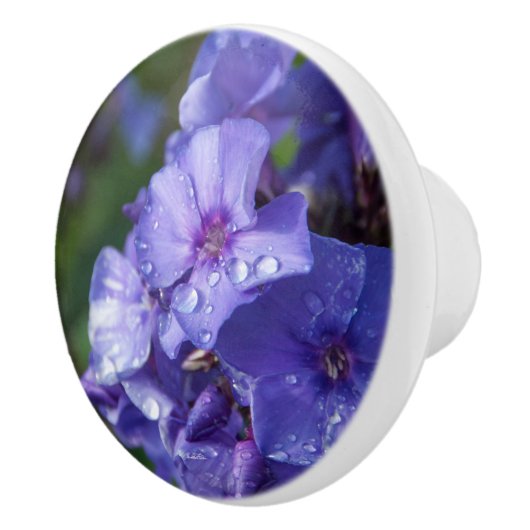 Poignée de porte, fleur violet セラミックノブ (右)