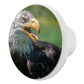 poignée de porte photo d'aigle セラミックノブ (右)