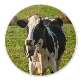 Poignée de porte, photo de vache セラミックノブ