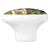 Poignée de porte, photo de vache セラミックノブ (側面)