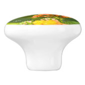 Poignée de porte photo d'un papillon セラミックノブ (側面)