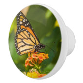 Poignée de porte photo d'un papillon セラミックノブ (右)