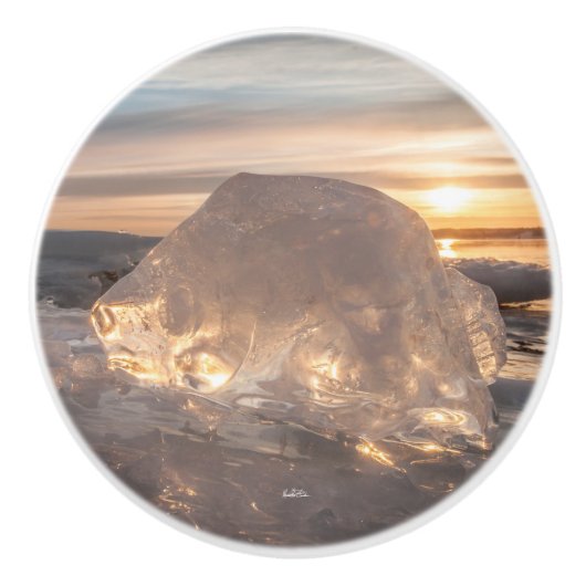 poignée de porte, photo glace en forme de poisson セラミックノブ (正面)