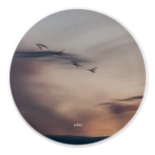 poignée de porte photo oiseaux abstraite セラミックノブ (正面)