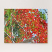 Poincianaの美しく王室のな木のジグソーパズル ジグソーパズル (横)