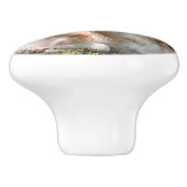 poinée de porte photo cerf sous les bois セラミックノブ (側面)