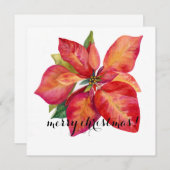 Poinsettia Christmas Card シーズンカード (正面/裏面)